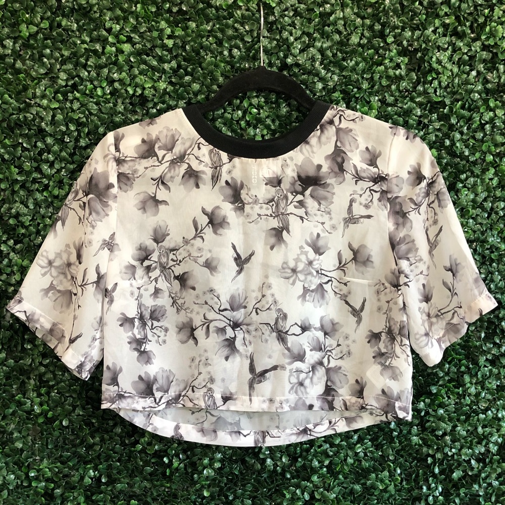 Crop Top Sheer Blouse